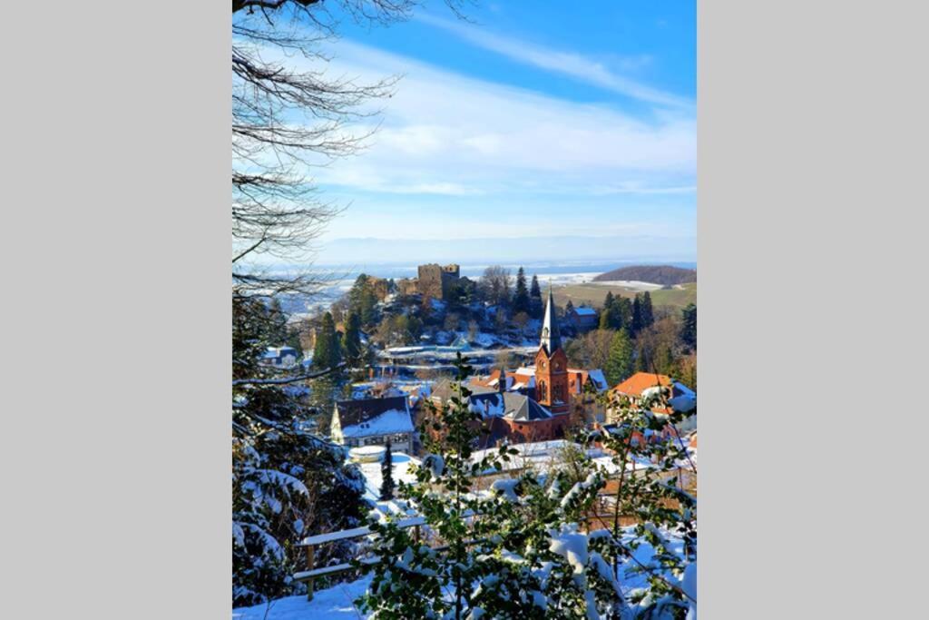 Ferienwohnung Am Musbach In Badenweiler-Sehringen Esterno foto