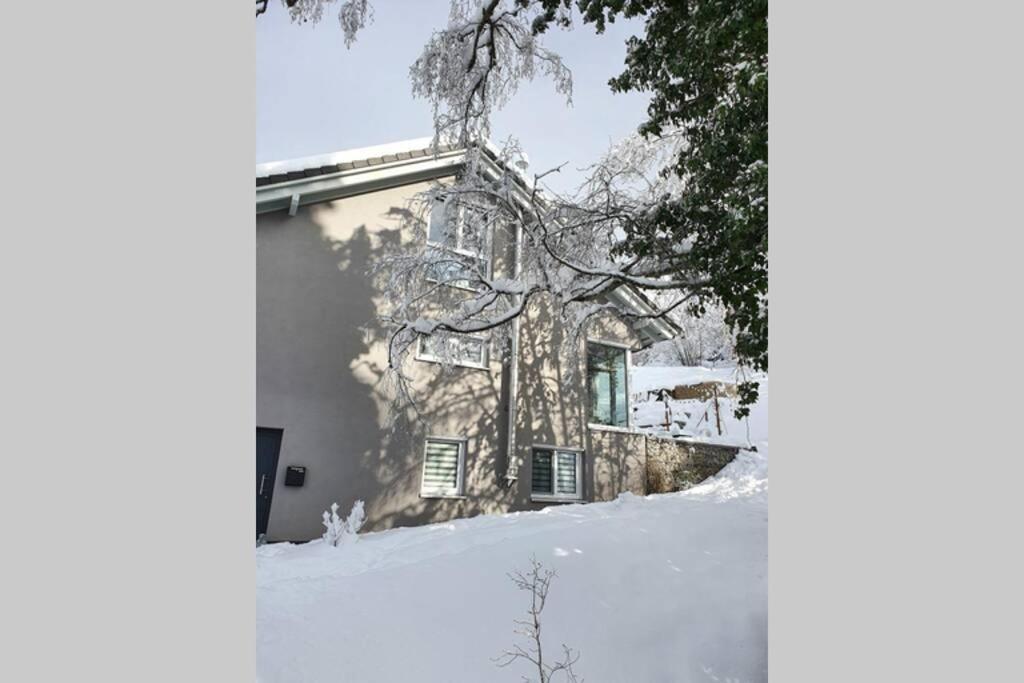 Ferienwohnung Am Musbach In Badenweiler-Sehringen Esterno foto