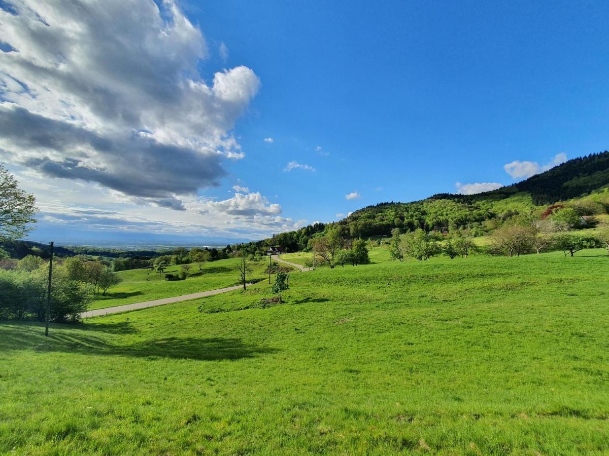 Ferienwohnung Am Musbach In Badenweiler-Sehringen Esterno foto